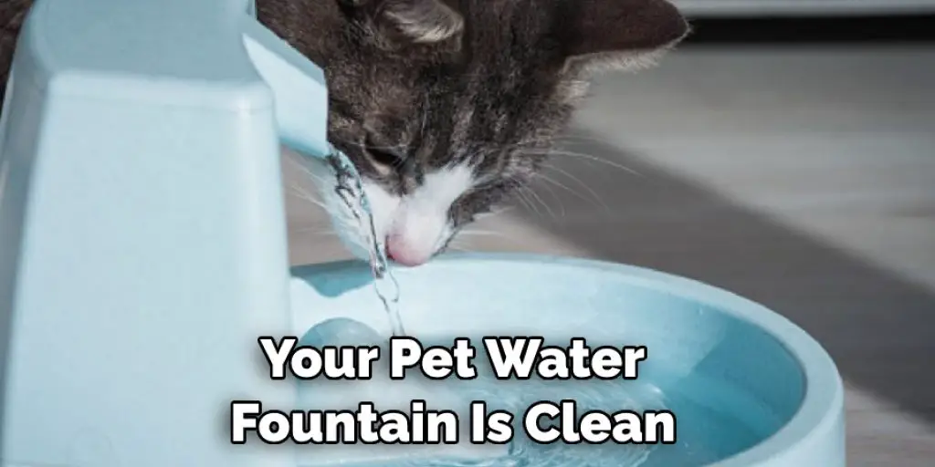  Your Pet Water  Fountain Is Clean