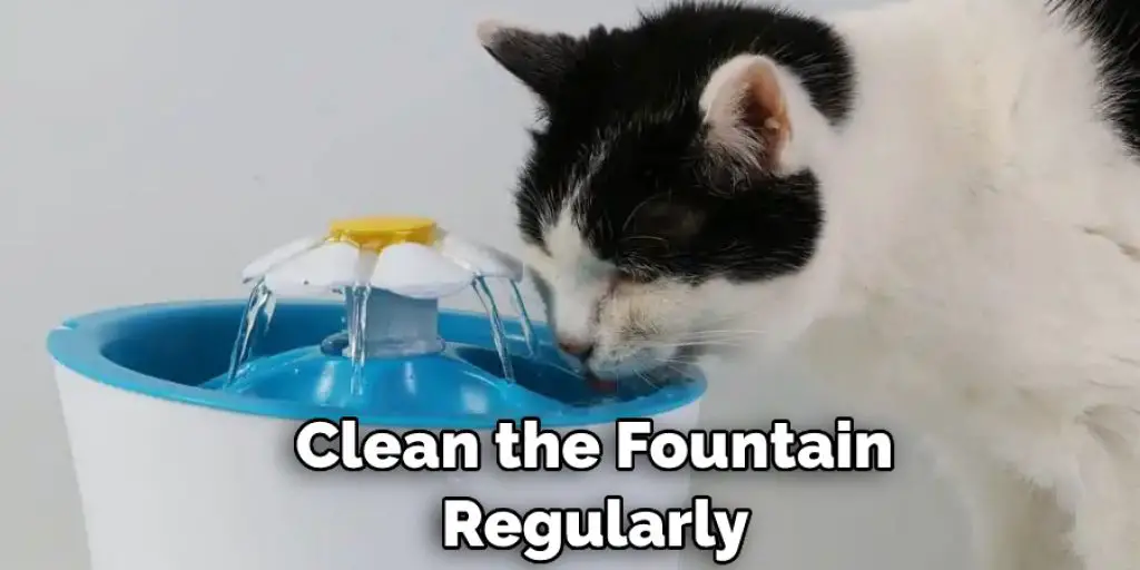 Clean the Fountain Regularly