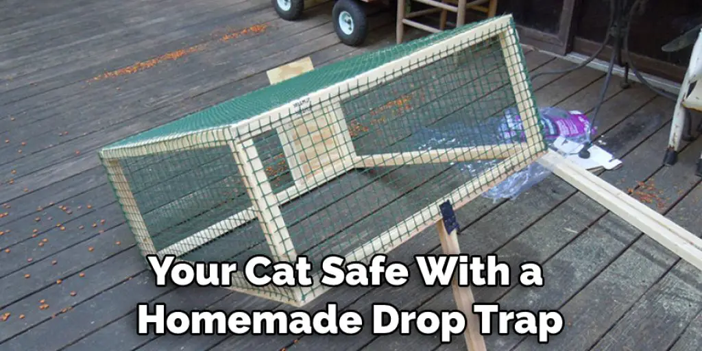 Your Cat Safe With a  Homemade Drop Trap