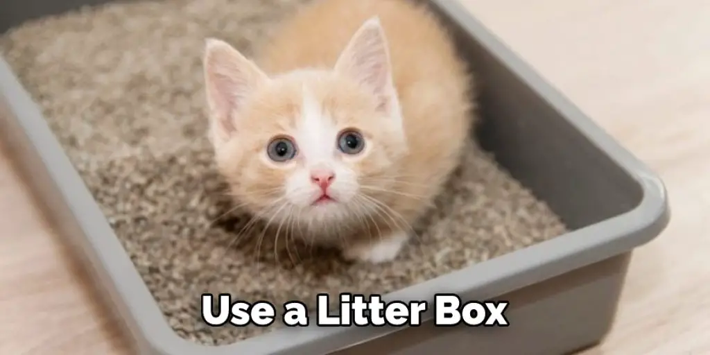 Use a Litter Box