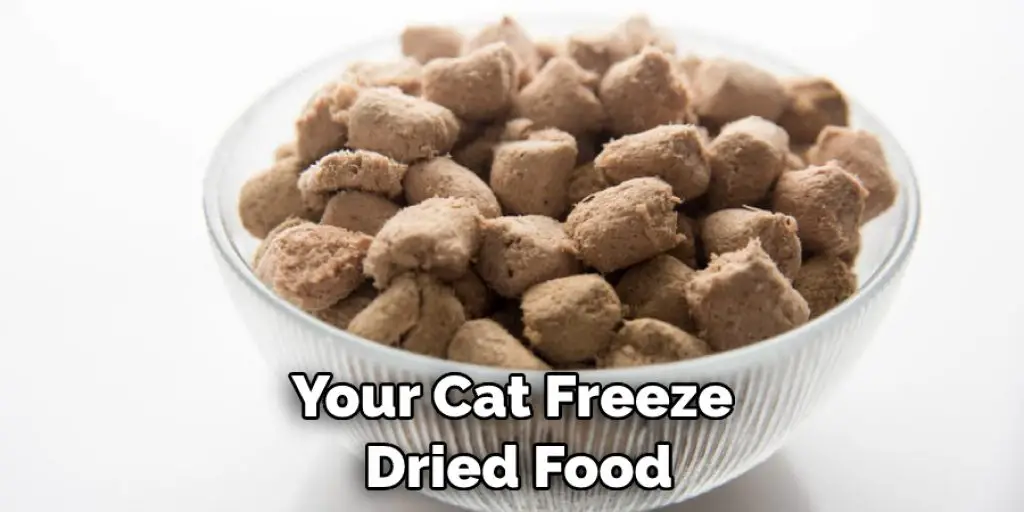 Your Cat Freeze Dried Food