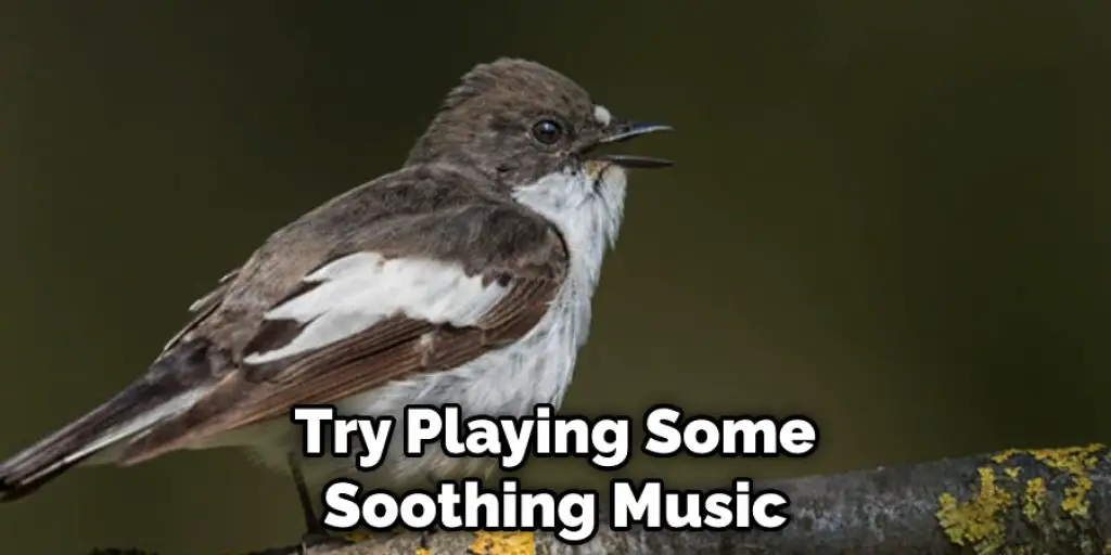 Try Playing Some Soothing Music
