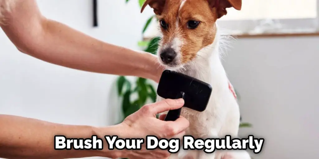 Brush Your Dog Regularly