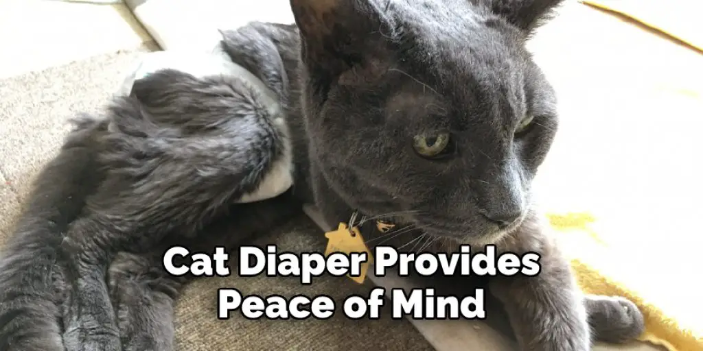 Cat Diaper Provides Peace of Mind
