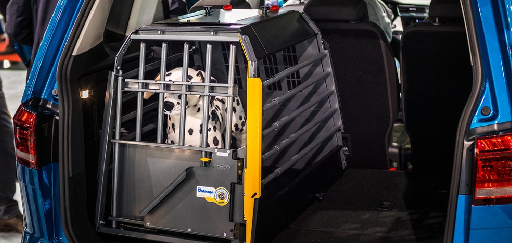 How to Secure Dog Crate in Car 8 Effective Ways (2024)