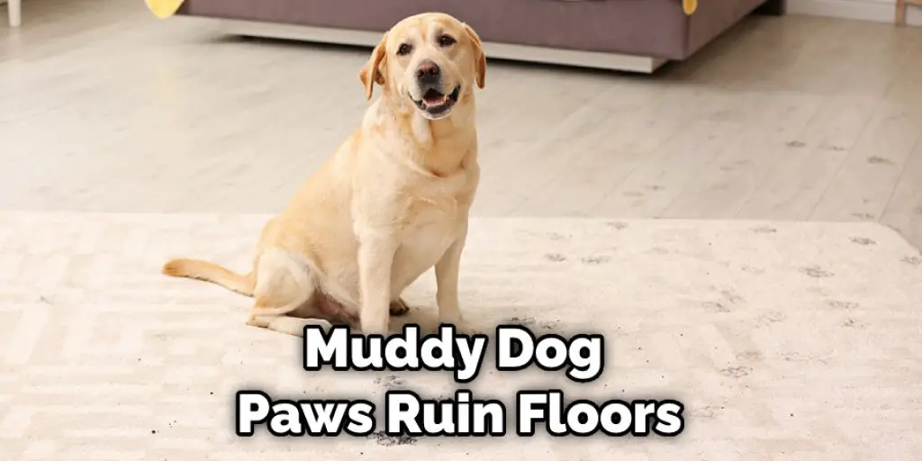 Muddy Dog  Paws Ruin Floors