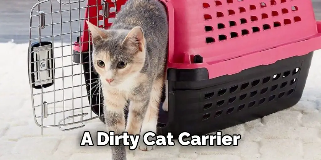A Dirty Cat Carrier