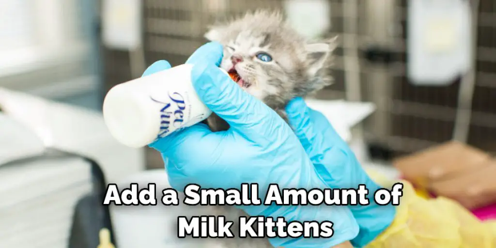 Add a Small Amount of  Milk Kittens