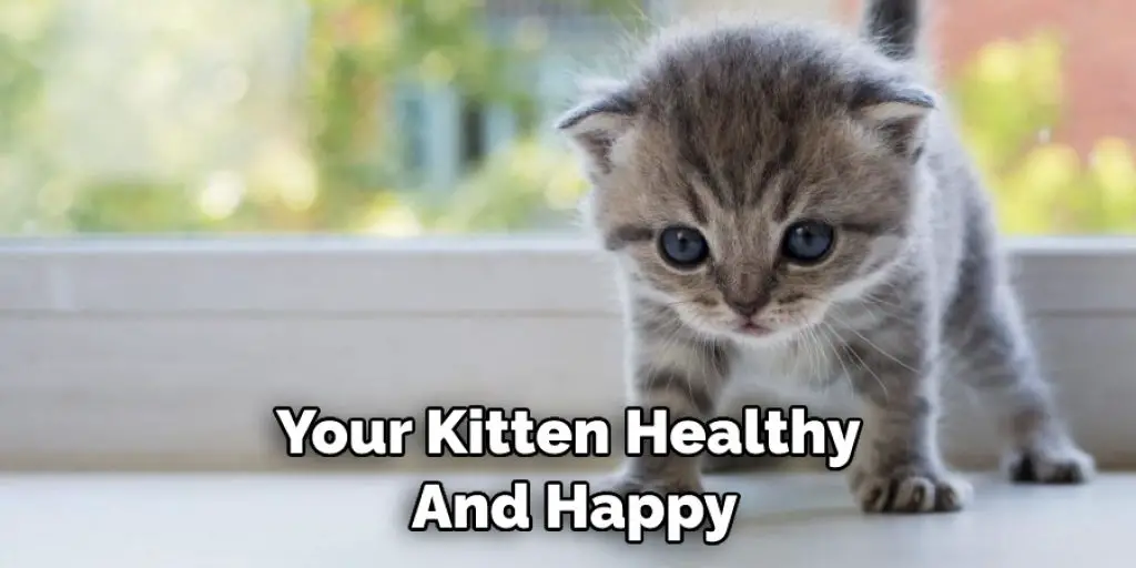 Your Kitten Healthy  And Happy