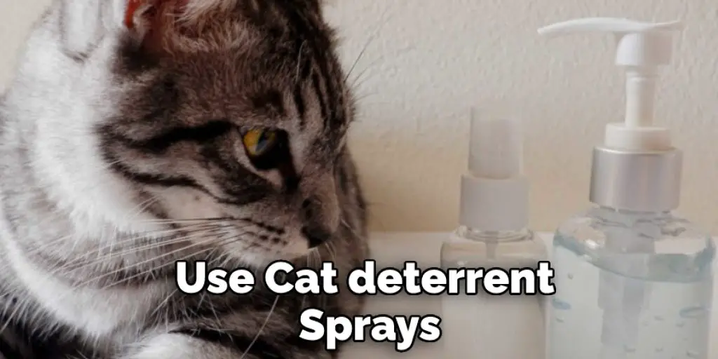 Use Cat deterrent Sprays