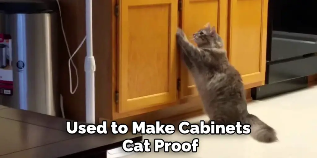 Used to Make Cabinets  Cat Proof