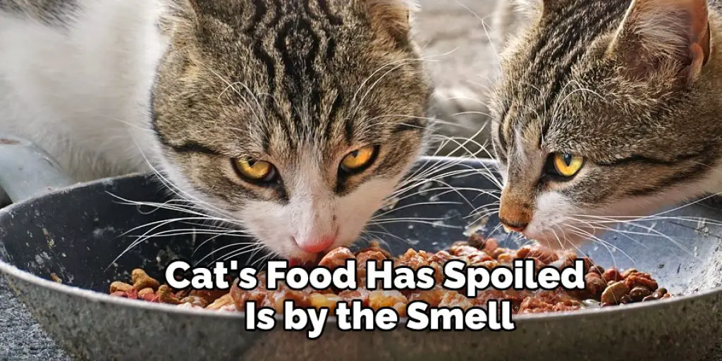 Cat's Food Has Spoiled  Is by the Smell