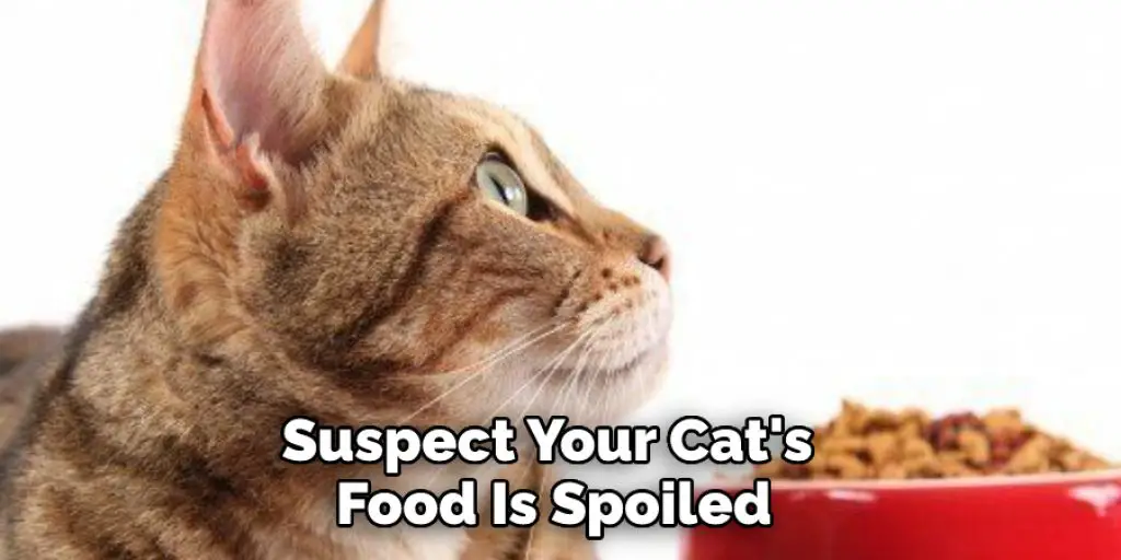 Suspect Your Cat's  Food Is Spoiled