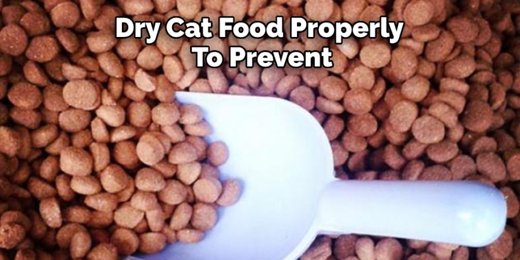 Dry Cat Food Properly  To Prevent