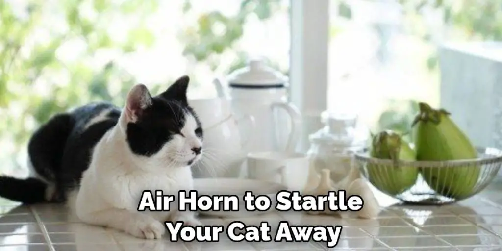 Air Horn to Startle  Your Cat Away