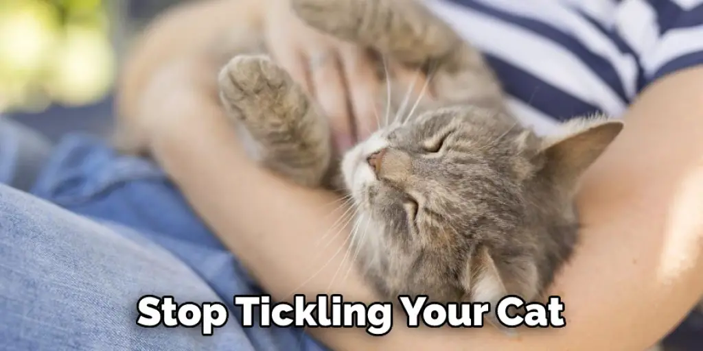 Stop Tickling Your Cat