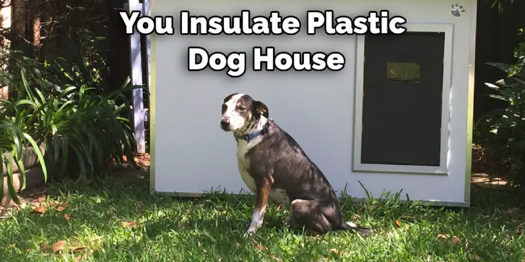 You Insulate Plastic  Dog House