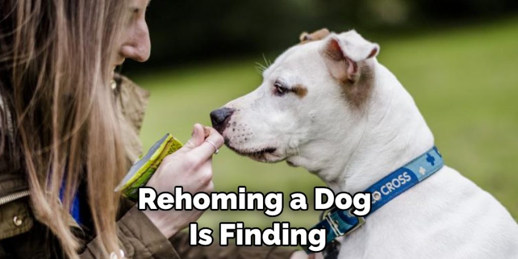 Rehoming a Dog  Is Finding