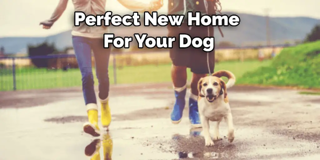 Perfect New Home  For Your Dog