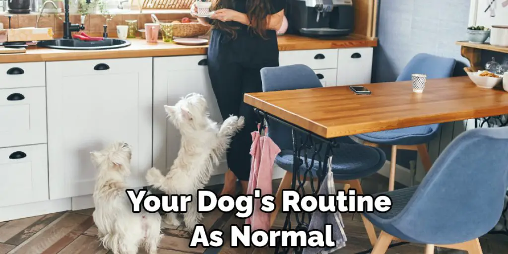 Your Dog's Routine  As Normal