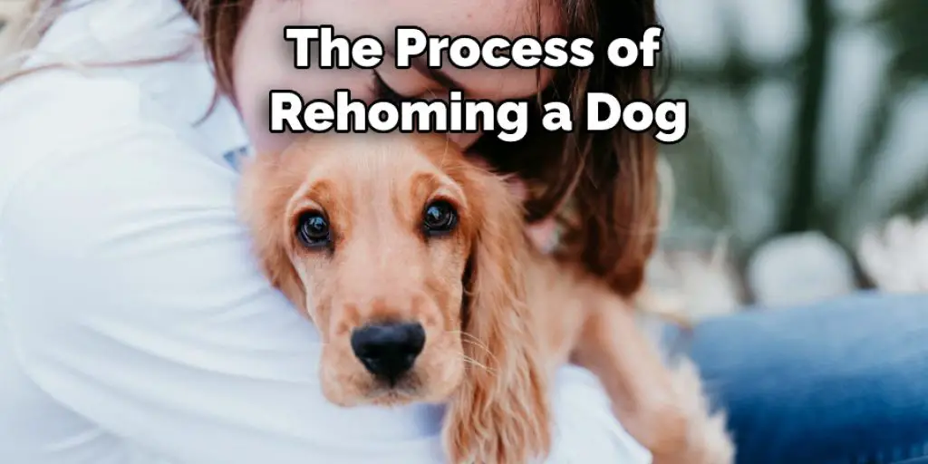 The Process of  Rehoming a Dog