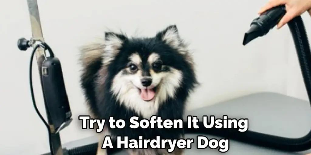 Try to Soften It Using  A Hairdryer Dog