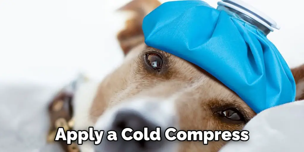 Apply a Cold Compress