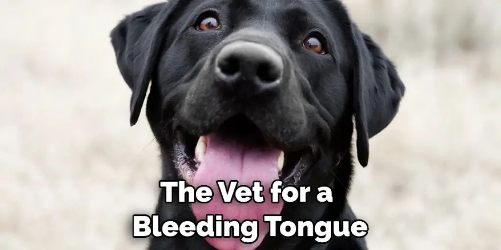 The Vet for a  Bleeding Tongue