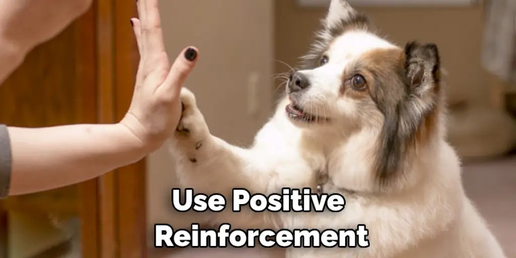 Use Positive Reinforcement