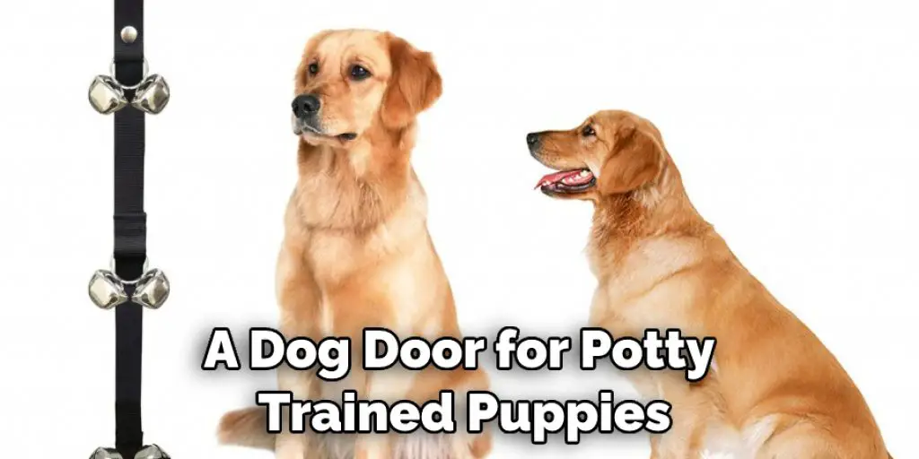 A Dog Door for Potty  Trained Puppies