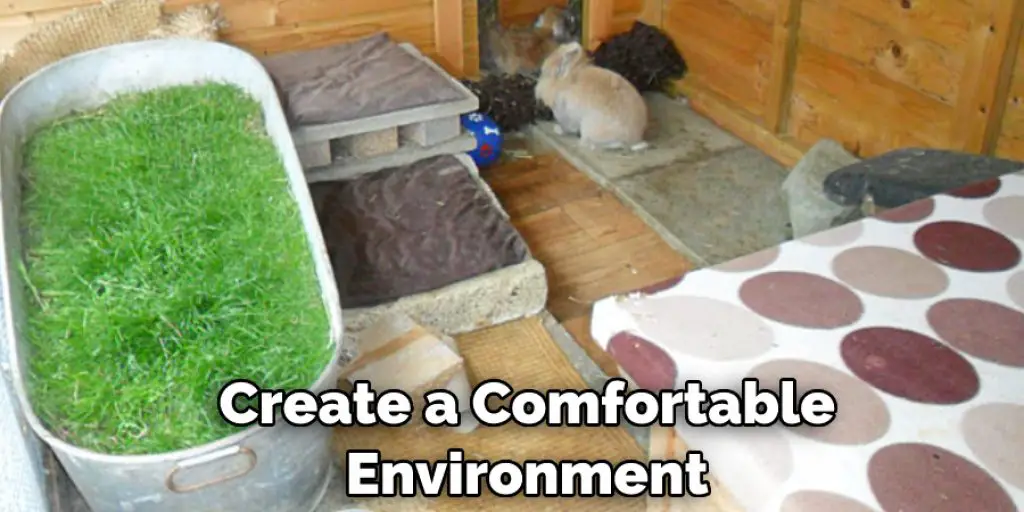 Create a Comfortable  Environment 