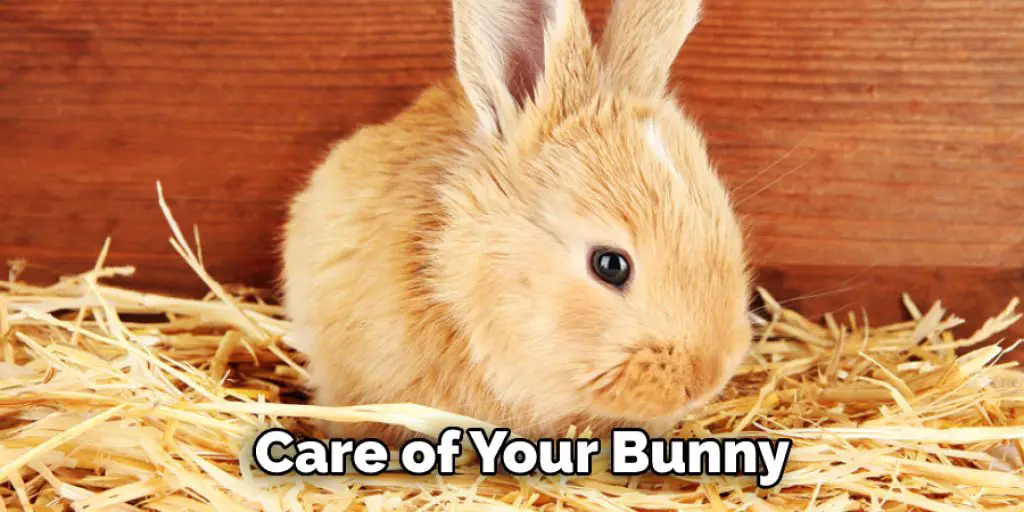 Care of Your Bunny