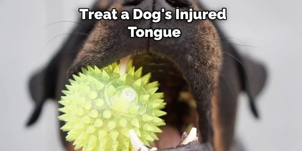 Treat a Dog's Injured Tongue