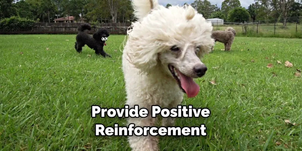Provide Positive Reinforcement