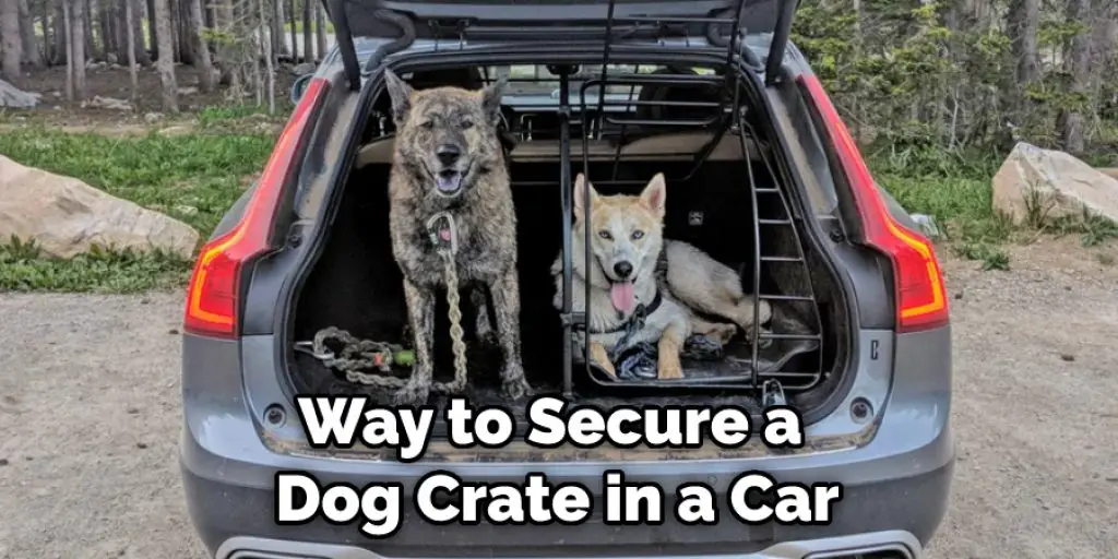 Way to Secure a  Dog Crate in a Car