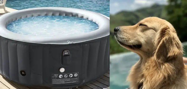 How to Protect Inflatable Hot Tub From Dogs