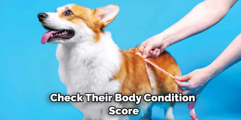 Check Their Body Condition  Score
