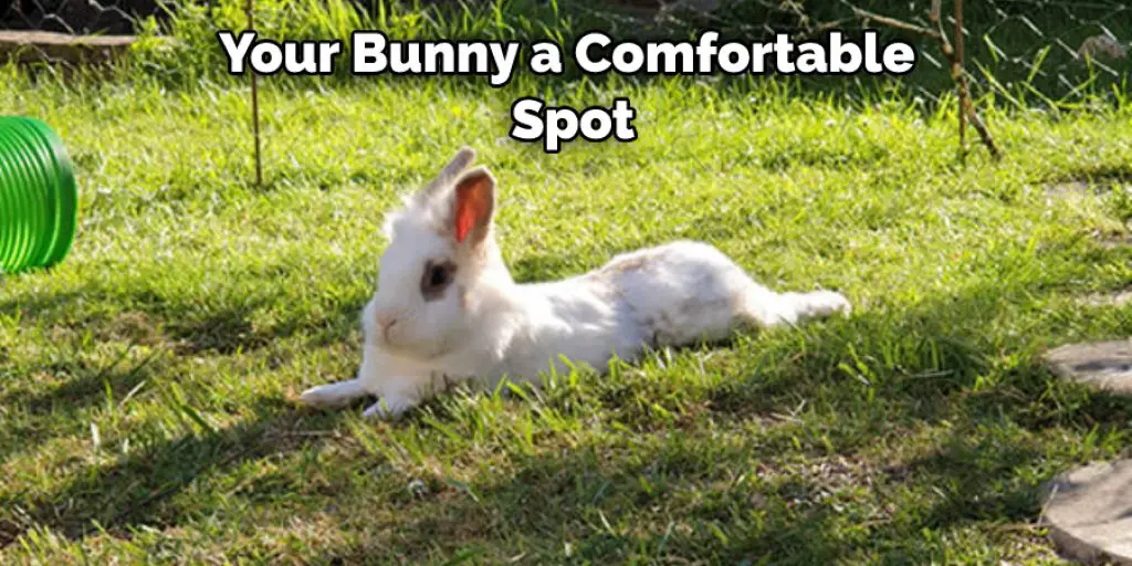 Your Bunny a Comfortable  Spot