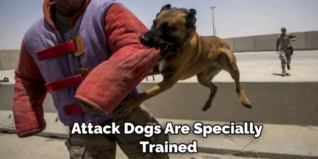 Attack Dogs Are Specially  Trained
