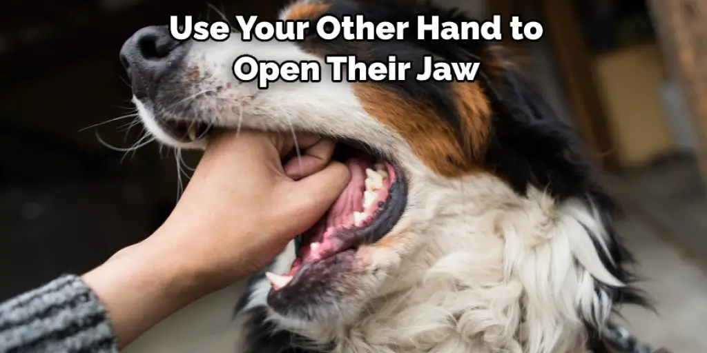 Use Your Other Hand to  Open Their Jaw 