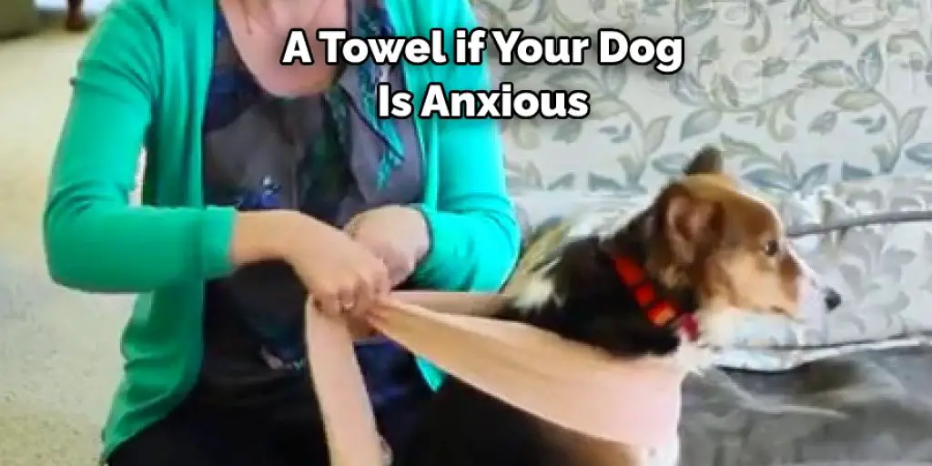 A Towel if Your Dog Is Anxious