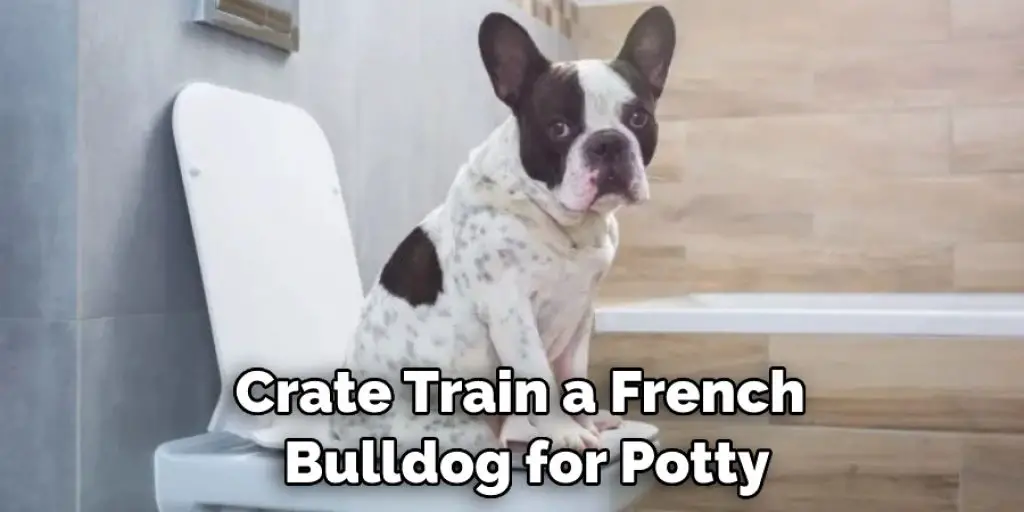 Crate Train a French  Bulldog for Potty