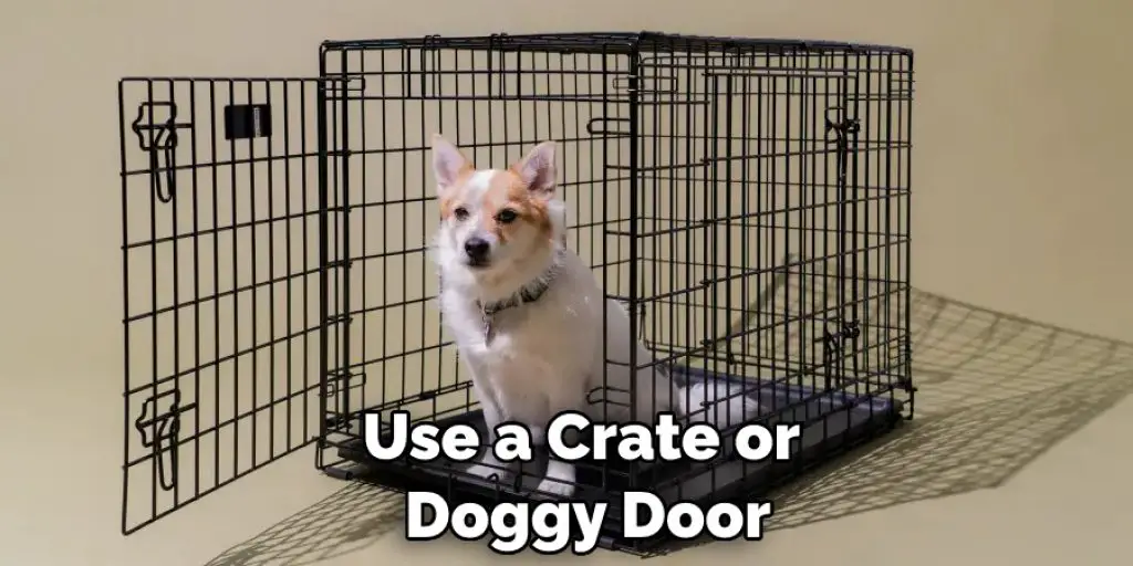 Use a Crate or  Doggy Door