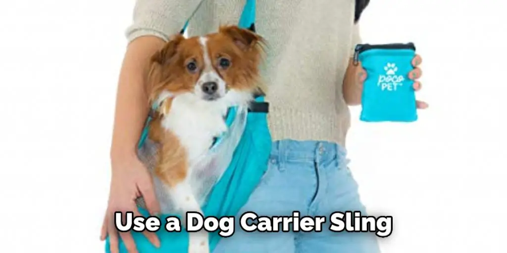 Use a Dog Carrier Sling
