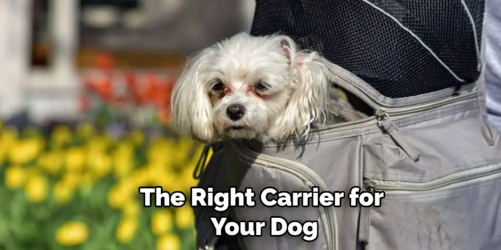 The Right Carrier for  Your Dog