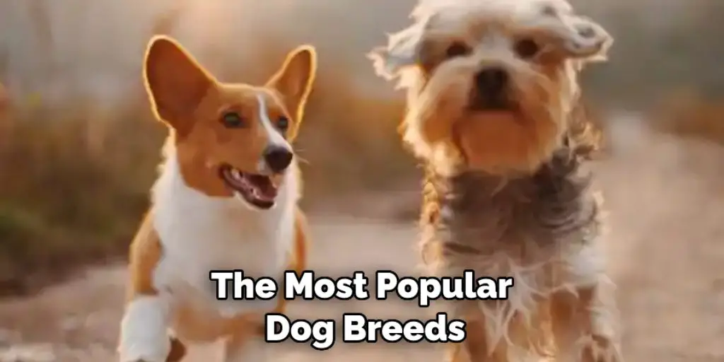  the most popular dog breeds 