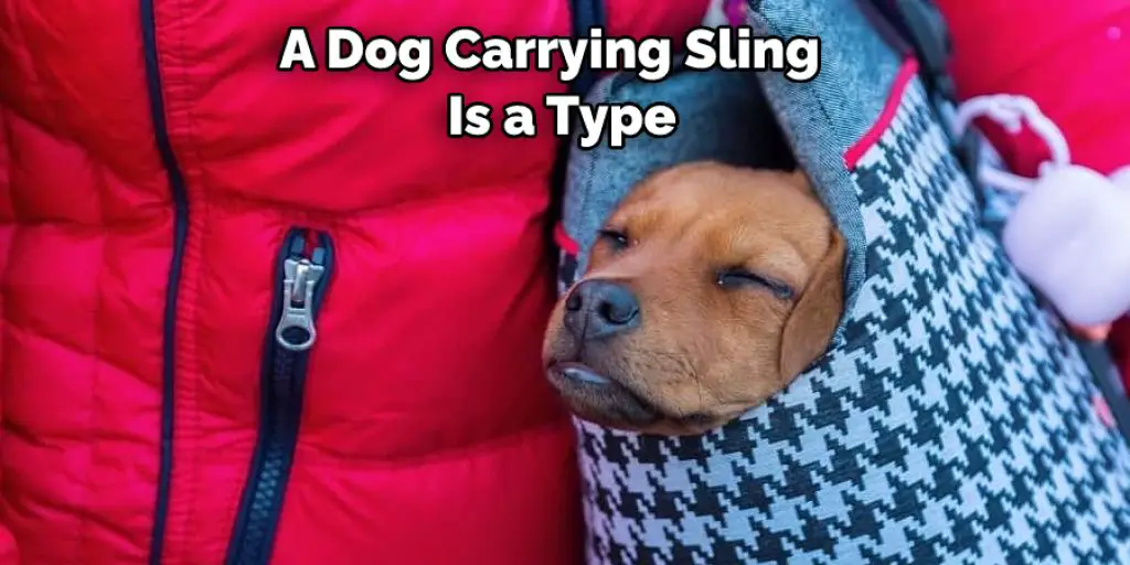 A Dog Carrying Sling   Is a Type