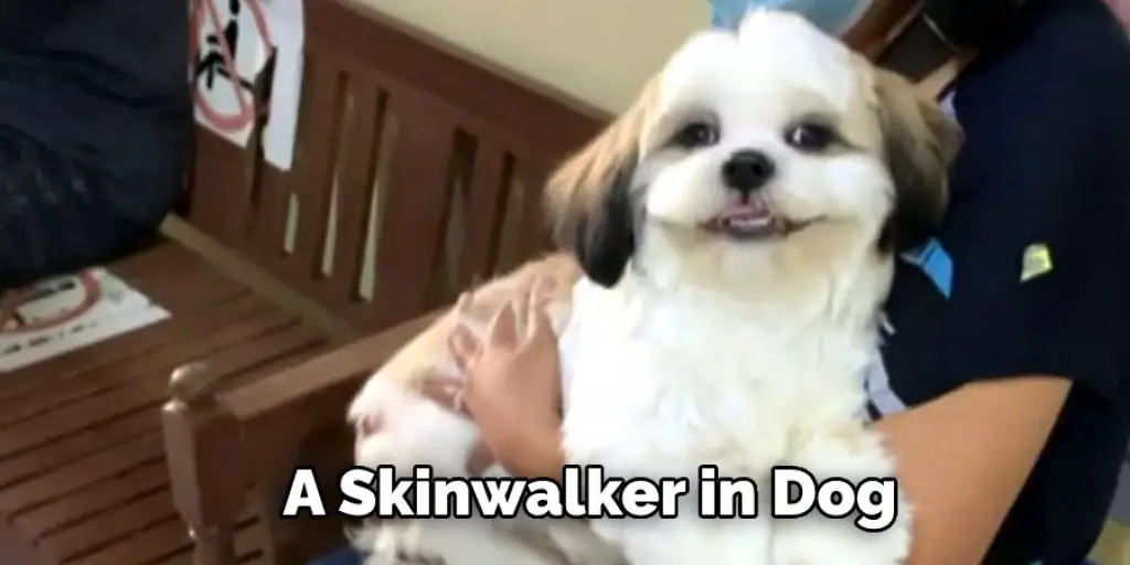 A Skinwalker in Dog