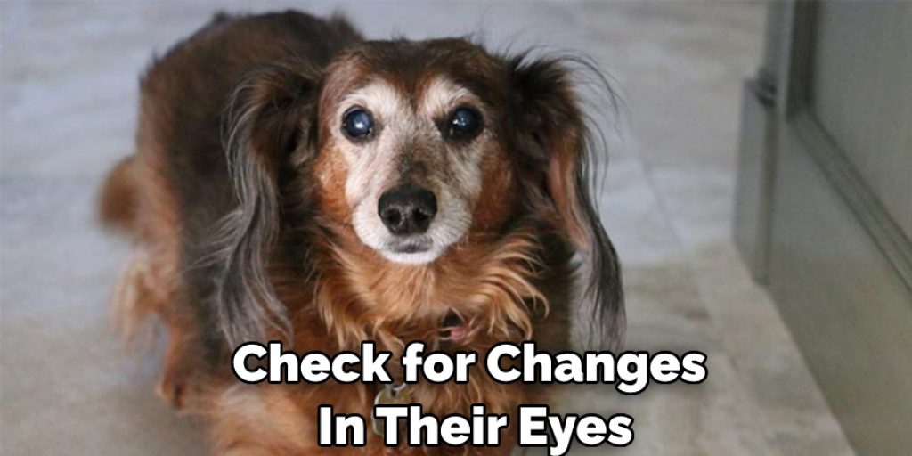Check for Changes  In Their Eyes