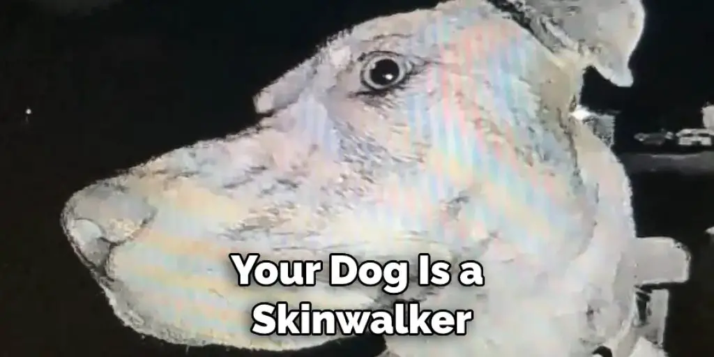 Your Dog Is a Skinwalker